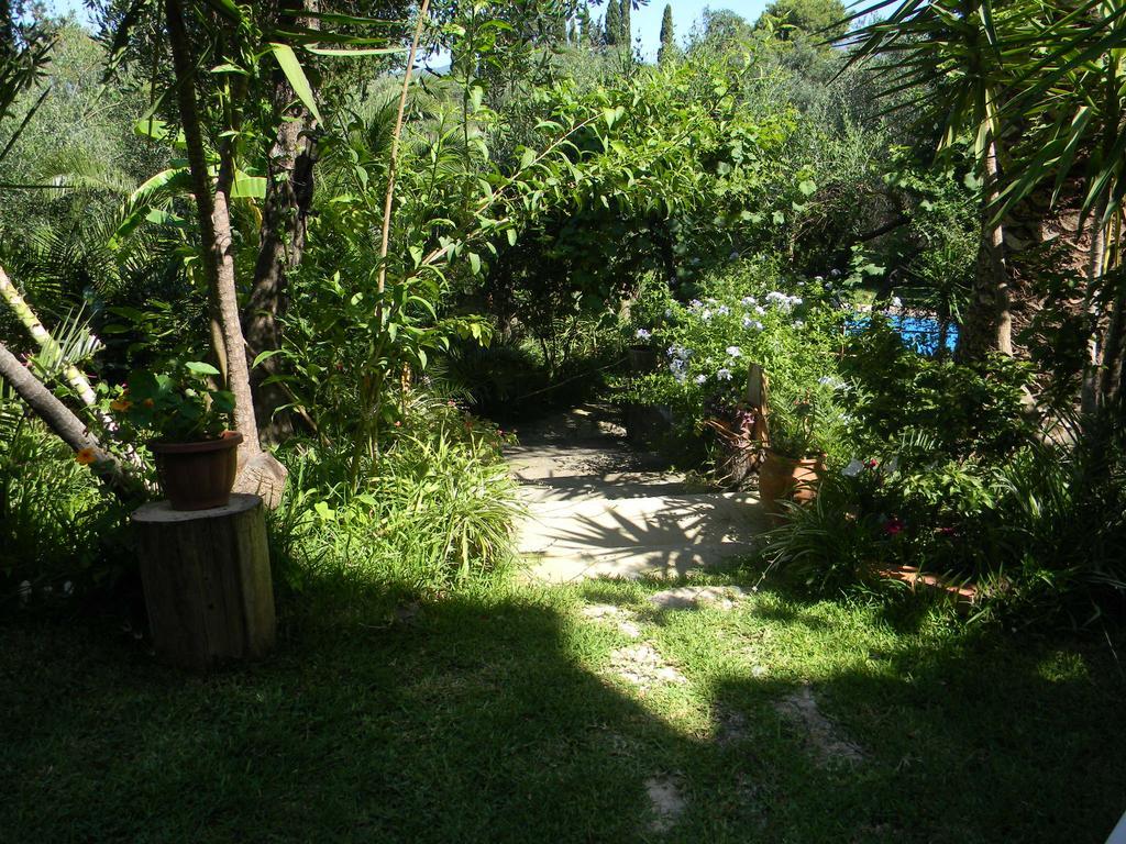 Villa Efterpi Kontokali Exterior photo